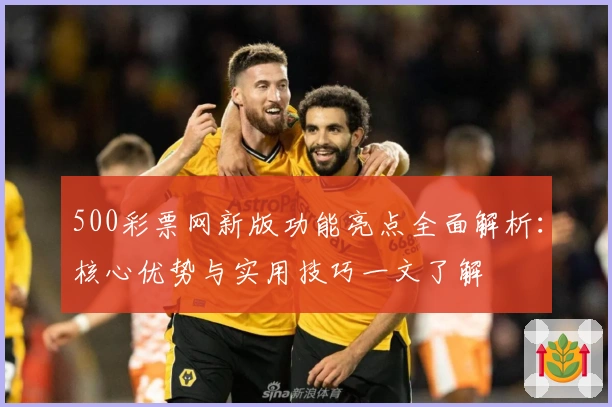 500彩票网新版功能亮点全面解析：核心优势与实用技巧一文了解