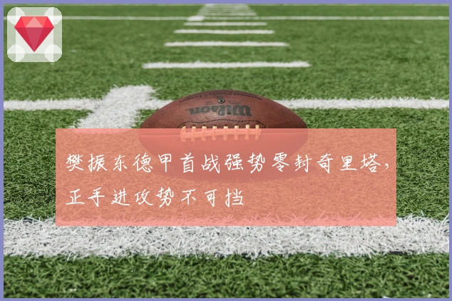 樊振东德甲首战强势零封奇里塔，正手进攻势不可挡